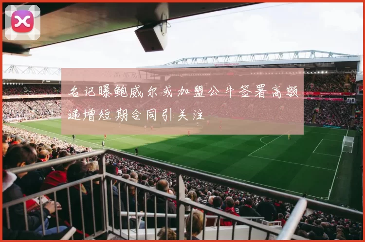 名记曝鲍威尔或加盟公牛签署高额递增短期合同引关注