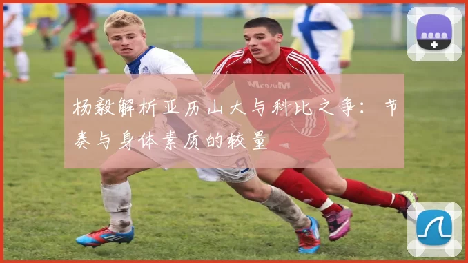杨毅解析亚历山大与科比之争：节奏与身体素质的较量